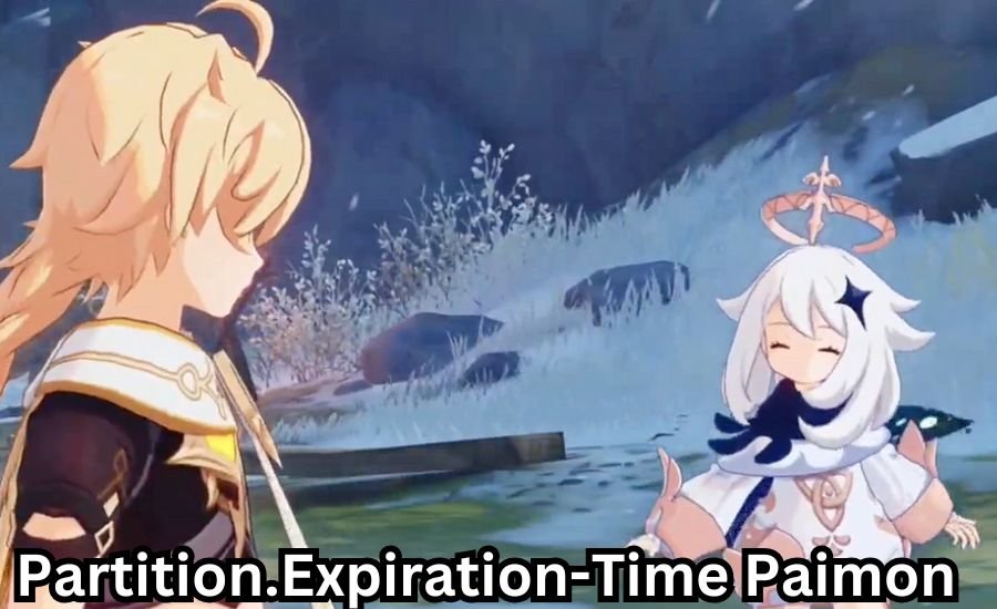 partition.expiration-time paimon