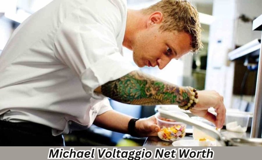 michael voltaggio net worth